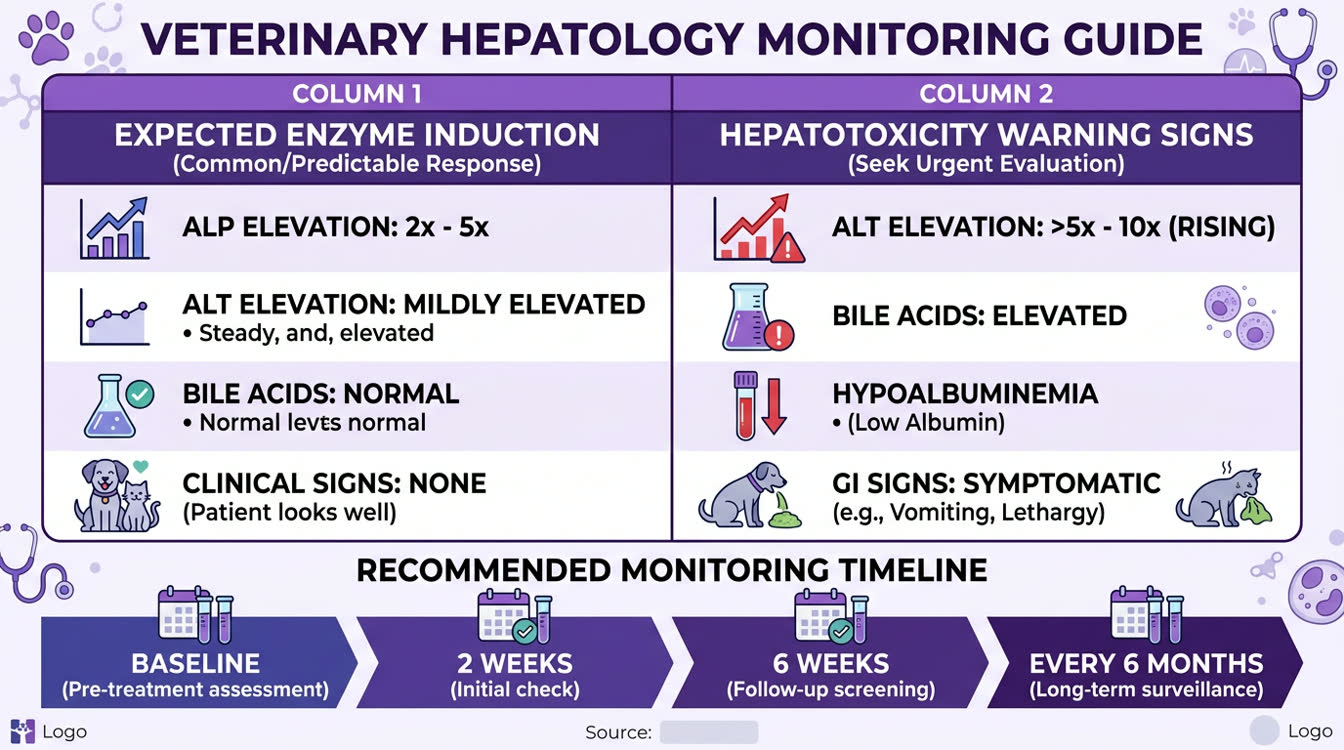 Liver enzyme interpretation guide for dogs on phenobarbital: enzyme induction vs hepatotoxicity